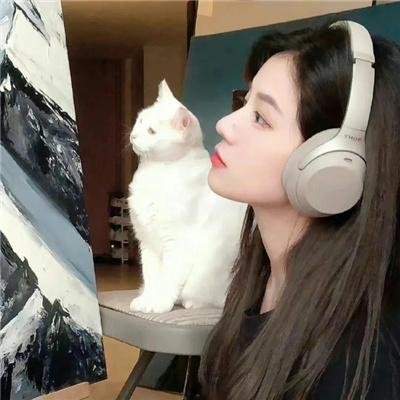 追星星的人